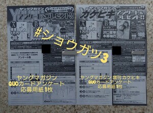 「在庫」ヤングマガジン No.21・22 ヤングマガジン 増刊 カケヒキ 沢口愛華 本郷柚巴 QUOカード等 アンケート応募用紙 1枚付き 2枚セット