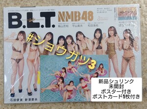 NMB48 石田＆加藤＆川上＆本郷＆上西＆安部＆貞野＆新澤＆原 B.L.T 3月号 特典 ポストカード付き(新品シュリンク未開封)ポスター応募券付き