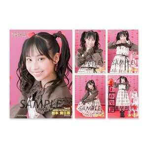 NMB48 2024.February Vol.2 個別生写真5枚セット 松本海日菜(新品未開封)