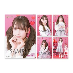 NMB48 2024.February Vol.2 個別生写真5枚セット 和田海佑(新品未開封)