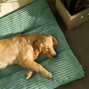 猫 犬 ベッド ペットベッド ふわふわ 暖か もこもこ キャット ペット用品 滑り止めクッションマット柔らかい耐噛み 秋冬 XLサイズK0010の画像3