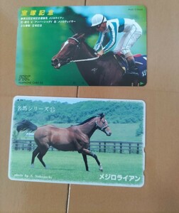 メジロライアン　宝塚記念　名馬　競馬 テレホンカード　テレカ