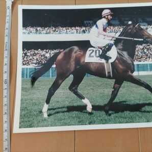 トウカイテイオー 写真 名馬 競走馬 競馬 ダービーの画像3