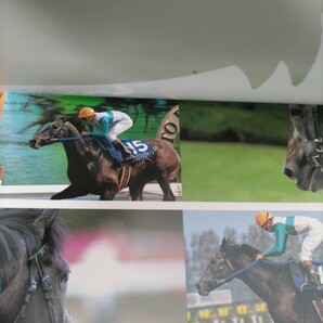 競馬写真 ポストカード集 JRA FACES RACESの画像5