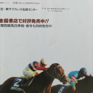 週間競馬報知 平成6年4月28日号 ナリタブライアン ビワハヤヒデ ライスシャワー ナイスネイチャの画像8