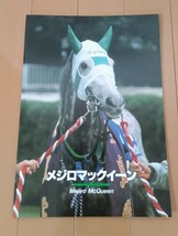 メジロマックイーン　種牡馬カタログ　社台スタリオンステーション　種牡馬パンフレット　_画像1