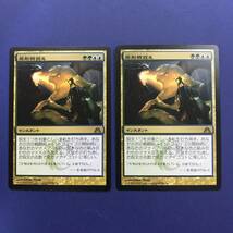 MTG/原形質捉え/Plasm Capture/日本語/2枚_画像1