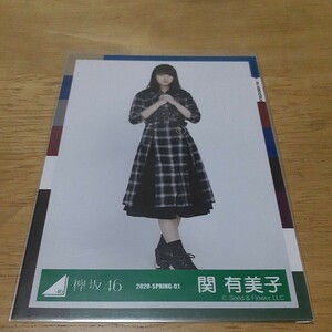 欅坂46　関有美子　生写真　2020 SPRING 01　　ヒキ