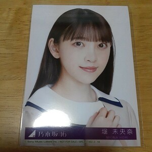 乃木坂46　堀未央奈　生写真　SRCL 11462-3 18　ヨリ