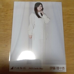 乃木坂46　伊藤理々杏　生写真　2023.Lucky Bag　ヒキ