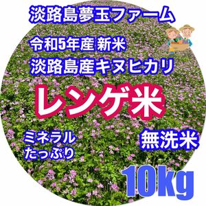 レンゲ米 令和5年新米 10kg キヌヒカリ 無洗米 れんげ米 減農薬 淡路島産 夢玉ファーム ミネラルたっぷり