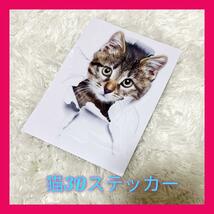 3D　カーステッカー 10×14㎝　猫　シール　カー用品　ねこ 送料無料　_画像1