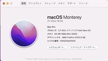 Apple Mac Pro Late2013 A1481 メモリー64GB AMD FireProD700 6GB_画像7
