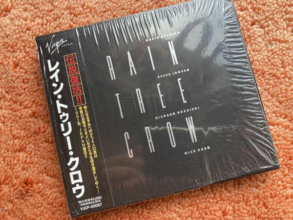 レイン・トゥリー・クロウ　Rain tree crow 日本初回限定CD デヴィッドシルビアン　ジャパン　80s David sylvian Japan ニューウェーブ