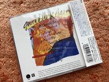 Ride ライド 日本初回盤 2ndフルアルバム Going blank again CD シューゲイザー　オアシス　マイブラ　ジザメリ UKインディーロック_画像2