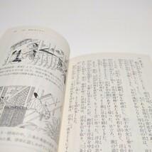 源氏物語 （角川ソフィア文庫　ビギナーズ・クラシックス） 〔紫式部／著〕　角川書店／編 中古 歴史 文学_画像8