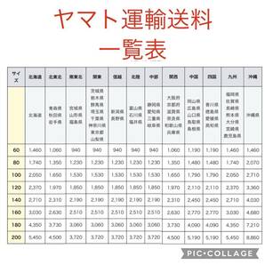 [4-59]FERNANDES スズキ フェルナンデス GC25クラシックギター 弦楽器の画像10