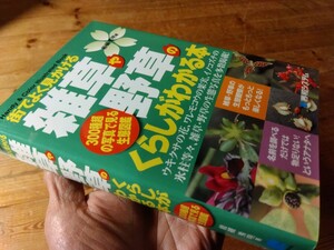 ⑦... книга@[ улица . хорошо видеть ...... травы. .... понимать книга@] водоросли до сеть .,447., внешний вид из мелкий часть до, стоимость доставки 230 иен,# утро ...#