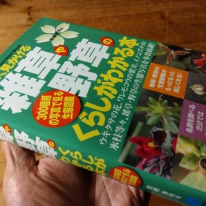 ⑦雑草の本【街でよく見かける雑草や野草のくらしがわかる本】水草まで網羅、447頁、外観から細かな部位まで、送料230円、＃朝来佐嚢＃の画像1