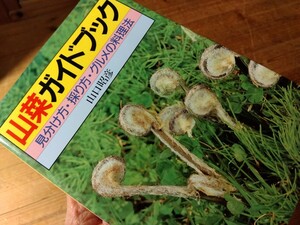 32山菜ガイド【山菜ガイドブック/見分け方/採り方/グルメの料理法】254頁、山/里/水辺/海辺/健康茶/毒草まで網羅、送料230円＃朝来佐嚢＃