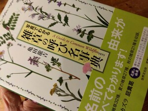 37「雑草の呼び名事典/写真でわかる」127頁、名前の由来が分かる、81種類の雑草収載、送料230円、＃草木/野草/植物/田畑/山里＃朝来佐嚢＃