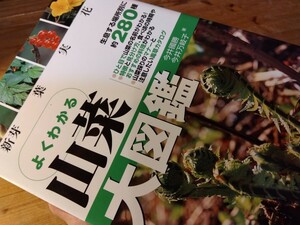 41山野草【山菜大図鑑/約280種】367頁、生息場所/季節/名前/写真から検索、食べ頃と料理法、キャンプ/アウトドア、送料230円、＃朝来佐嚢＃