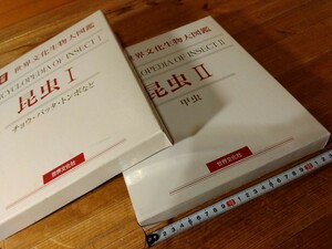 56【世界文化生物大図鑑/昆虫Ⅰ/昆虫Ⅱ】定価2万円、822頁、気軽に使える図鑑であり学術的価値も高い、＃キャンプ/アウトドア＃朝来佐嚢＃