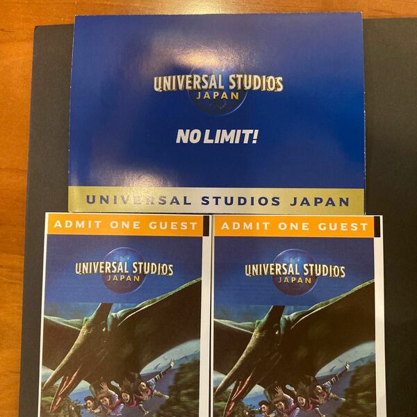 USJ 1dayパス　2枚