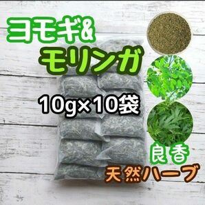 天然ハーブ ヨモギ& モリンガ 10g×10個 ヨモギ蒸し モリンガ蒸し 薬草湯