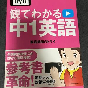 観てわかる　中1英語