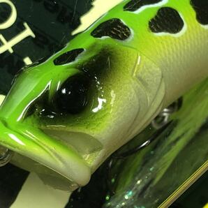 【同梱可能】Megabass ルアー メガバス POPX GREEN FROG（検:POP-X、希少、ポップX、POPMAX、SP-C、限定、入手困難）※パケ難の画像2