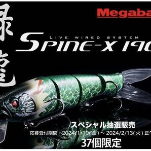 【世界37個】Megabass ルアー メガバス 干支カラー SPINE-X スパインX 緑龍（検:POPX、希少、ポップX、POPMAX、SP-C、限定、入手困難）の画像2