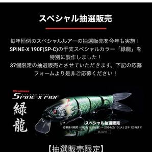 【世界37個】Megabass ルアー メガバス 干支カラー SPINE-X スパインX 緑龍（検:POPX、希少、ポップX、POPMAX、SP-C、限定、入手困難）の画像3