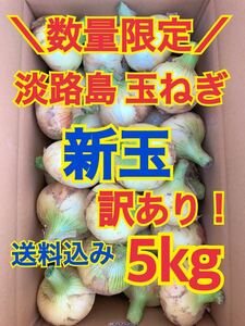 淡路島 玉ねぎ 玉葱 新玉 5kg 送料込み 農家直送 南あわじ 訳あり