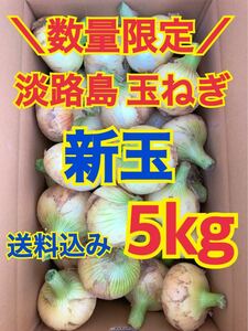 淡路島 玉ねぎ 玉葱 新玉 5kg 送料込み 農家直送 南あわじ