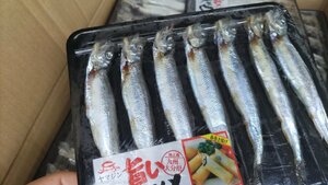 [海の棚　即買干物] 大きな子持ちししゃも7尾