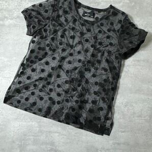 L0004 tricot COMME des GARCONS トリココムデギャルソン レディース シワ加工 シースルー セットアップ 水玉 総柄 半袖 パンツ ブラック Mの画像4