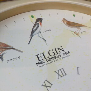 TIN●○中古 ELGIN 野鳥電波掛け時計 CASIO 2点セット 6-4/2（あ）の画像4