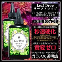 屋外イベントでも黄変ゼロ LED速乾レジン液100g 2本 リーフドロップ_画像2