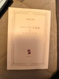 ポニーテール白書2 水沢めぐみ