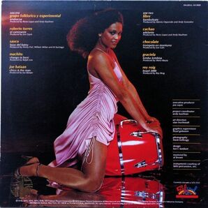 LP●Latin Disco - Salsa's Greatest Hits Vol. 1/ Various (1978年） 激レア白見本盤 Salsoul Records Latin Salsa セクシージャケの画像2