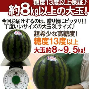 （予約）限定1玉！鳥取【大栄すいか プレミアム】糖度13度以上！！！！の画像5