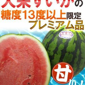 （予約）限定1玉！鳥取【大栄すいか プレミアム】糖度13度以上！！！！の画像2