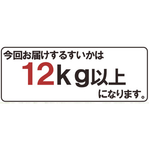 （予約）限定1玉!鳥取産【大栄すいか】超特大 12ｋｇ以上 JUMBO！！！！の画像8