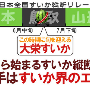 （予約）限定1玉!鳥取産【大栄すいか】超特大 12ｋｇ以上 JUMBO！！！！の画像2