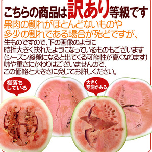 （予約）限定1玉!鳥取産【大栄すいか】超特大 12ｋｇ以上 JUMBO！！！！の画像10