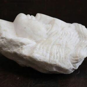 西洋アンティーク 白砡のような材質の石彫の顔 オブジェ 古代ローマ彫刻 ｎ522の画像5