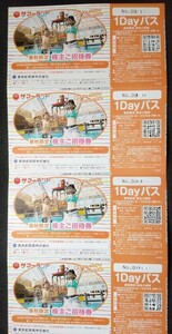 東京サマーランド１Dayパス 【春秋限定招待券4枚】 GWイベント『水とあそベンチャー』開催　送料無料