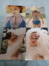 150μ 厚手ラミネート加工 切り抜き A4変 水原希子 全部出し 5ページ 水着姿_画像1