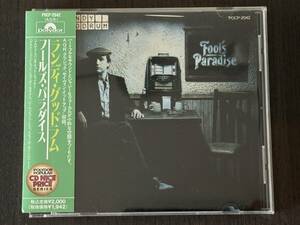 ランディ・グッドラム Randy Goodrum フールズ・パラダイス Fool’s Paradise 帯ありで綺麗です 超美品